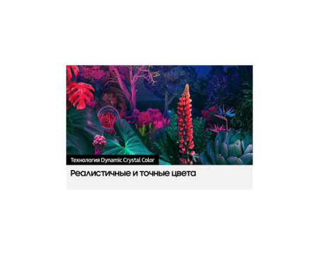 ru-uhd-4k-tv-ue55bu8000uxru-ue--bu----uxru-534989630